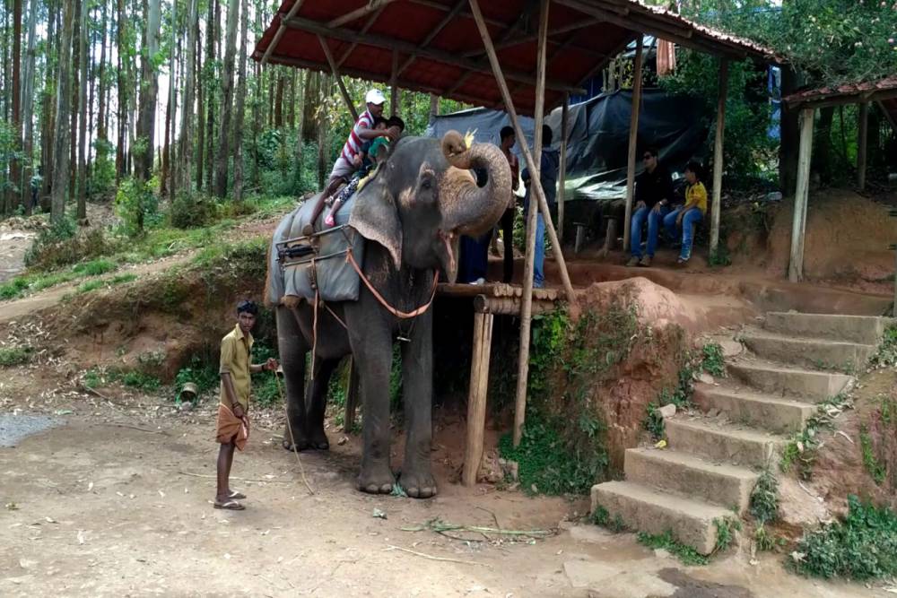 Carmelagiri Elephant Park